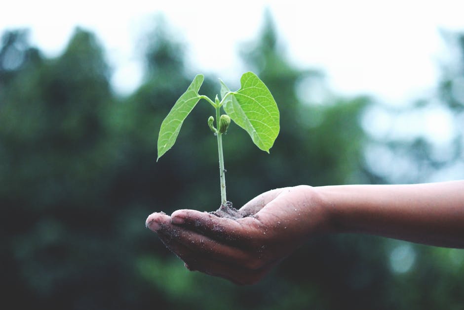 Santé humaine et pesticides : Quels impacts ?